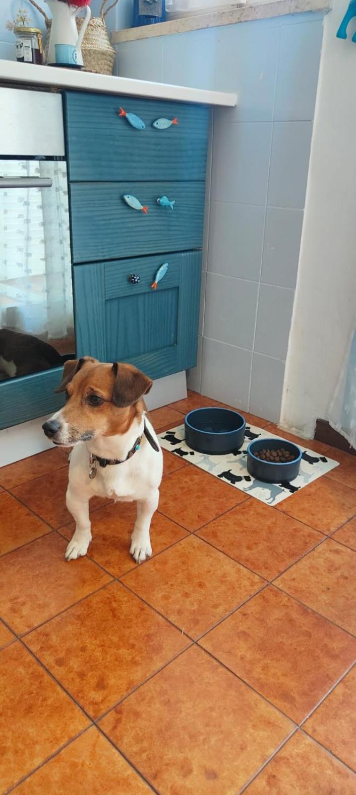 Casa Benny Apartment ซานโลเรนโซ อัลมาเร ภายนอก รูปภาพ